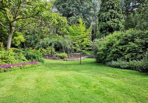 Optimiser l'expérience du jardin à Vesancy